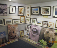 Picture Gallery & Framing